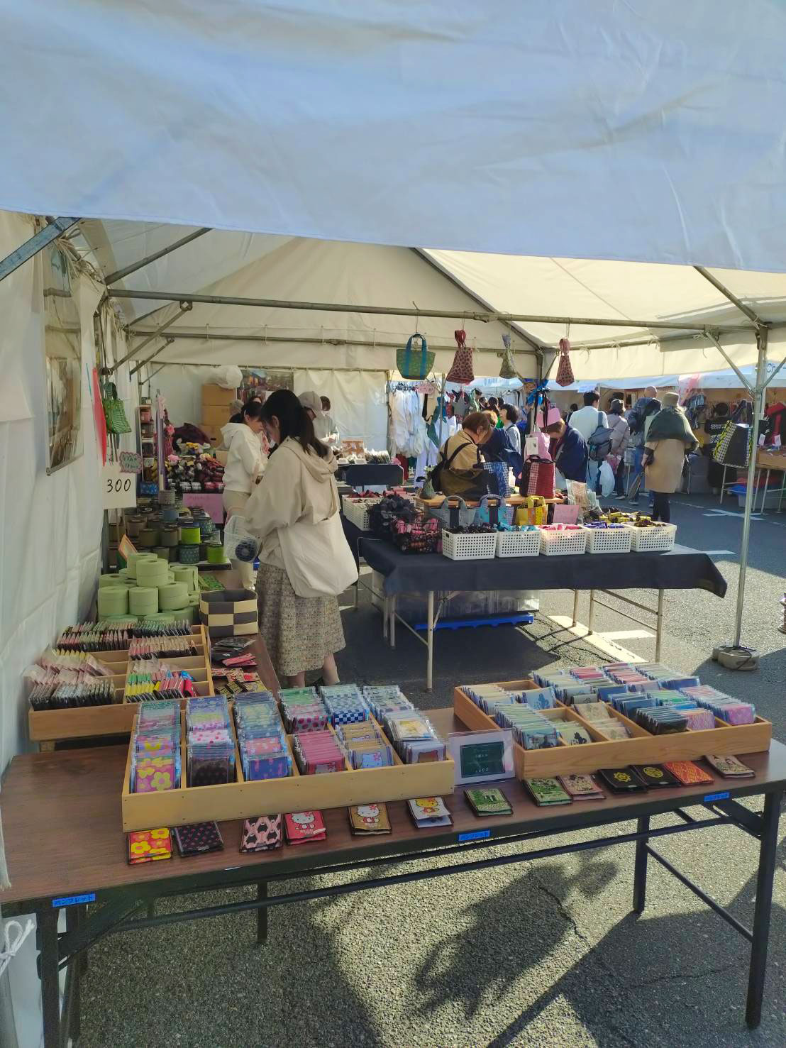 せんいさいの様子③